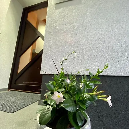 Apartma Bernard *